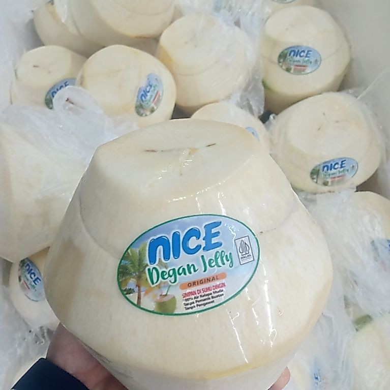 degan jelly kelapa jelly
