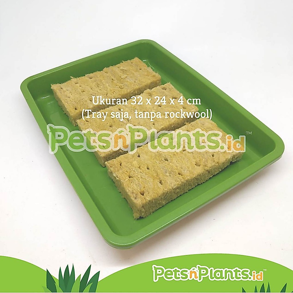 PnP SPROUT - Seedling Tray Semai Benih Alas Hidroponik Nampan Baki Plastik Besar