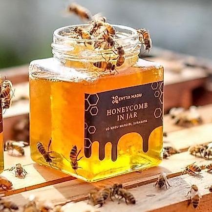 Sentra Madu Honeycomb in Jar 250 gr (madu murni dengan sarang madu)