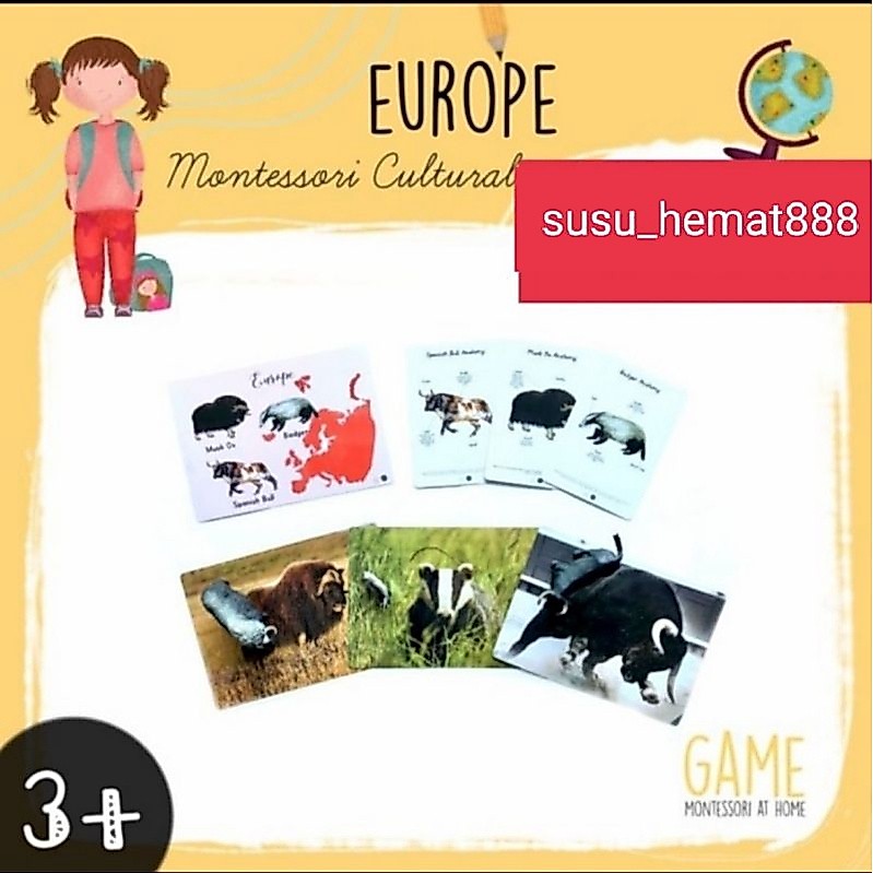montessori cultural around the world animal set
