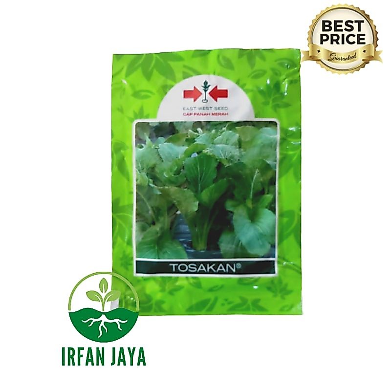 BENIH SAWI Tosakan 25gram CAP PANAH MERAH - Benih Sawi - CAP PANAH MERAH