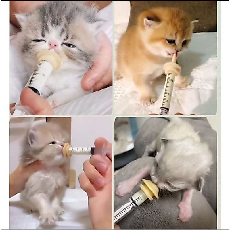 Dot Nyusu Anak Kucing,Dot Miracle, Dot Nipple, Dot kucing, Dot Hewan Baru Lahir 3ml