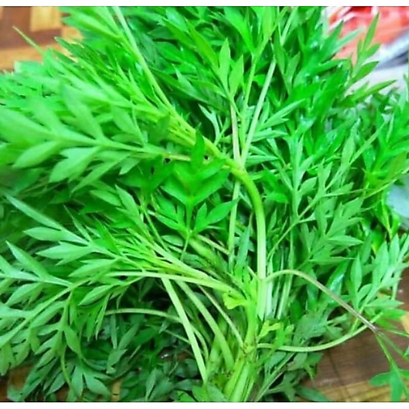 sayur kenikir