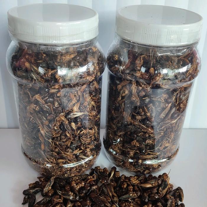 Ready Jangkrik Kering Fress Pakan Hewan Ikan Burung Reptil