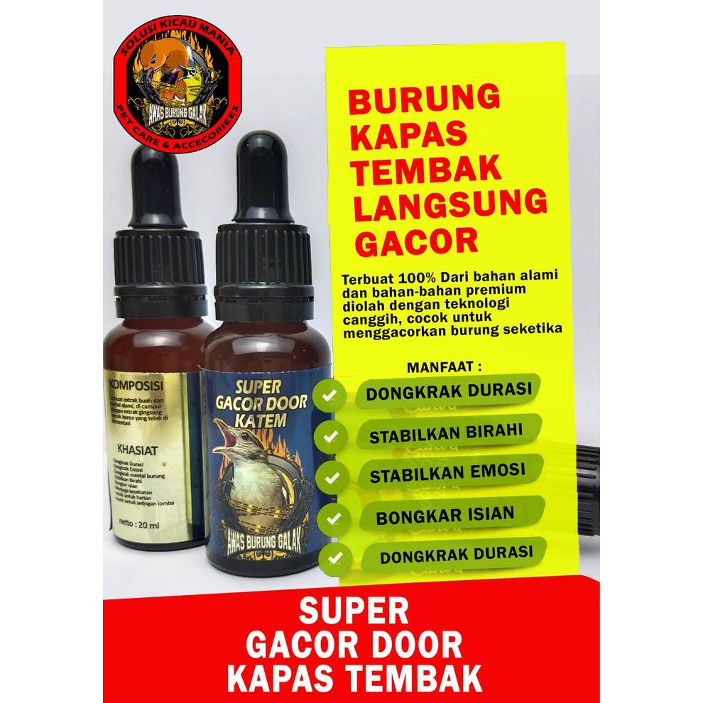 NEW SUPER GACOR DOOR KAPAS TEMBAK KATEM PENGGACOR SEKETIKA PREMIUM