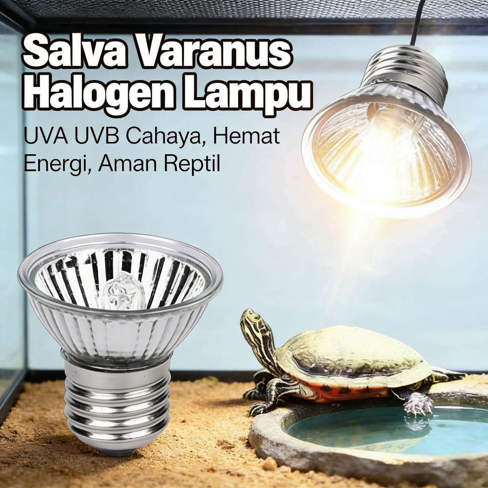 LAMPU PENGGANTI SULCATA KURA BEARDED PARDALIS TURTLE TIGER TORTOISE NOMOY HALOGEN UVA UVB 50W 25W RE