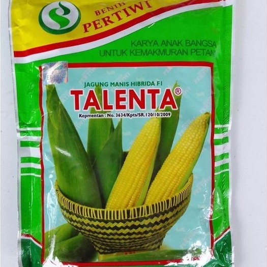 ASLI Benih jagung TALENTA F1 250gram jagung manis hibrida TALENTA dari benih pertiwi jagung manis