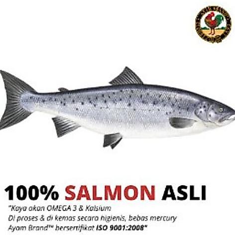 Foodz- Ayam Brand - Ikan Salmon Kaleng Spread 160Gr