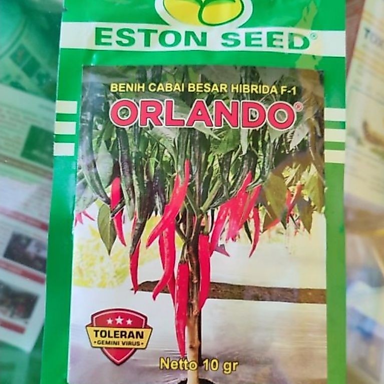 BENIH CABE MERAH ORLANDO F1 10 GRAM