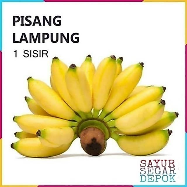 PISANG LAMPUNG / SAYUR SEGAR CIBUBUR