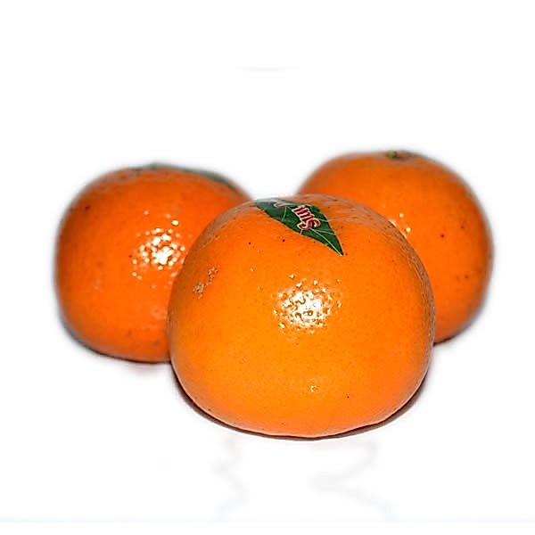 Jeruk Kino Pakistan Mandarin 1 kg