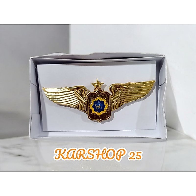 WING MANDALA PILOT WING MANDALA WINGS MANDALA