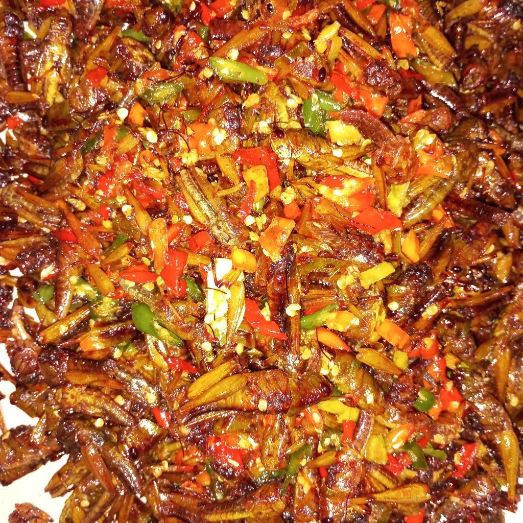 

Belalang kayu/Besar irisan Cabai