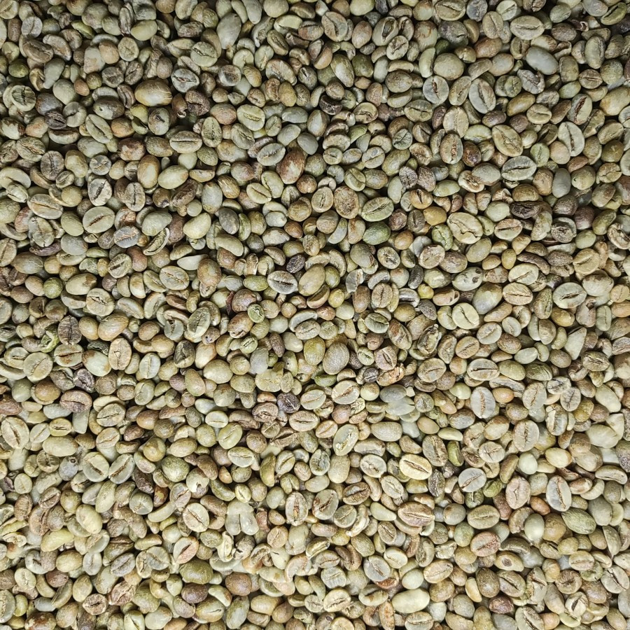 

JAMIN MURAH !!!GREEN BEAN / KOPI MENTAH ROBUSTA TEMANGGUNG GRADE 2 - 1 KG(BISA LANGSUNG ORDER)