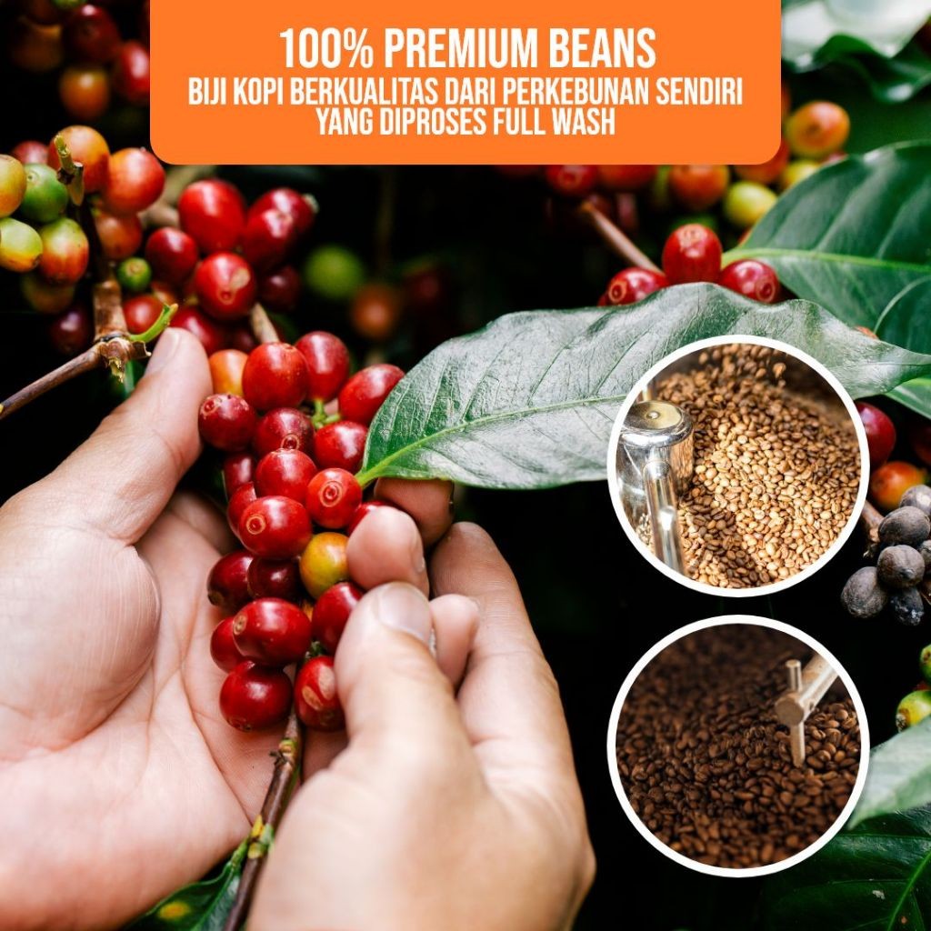 

JAMIN MURAH !!!LA VILOS - Argopuro Coffee Robusta - 1kg(BISA LANGSUNG ORDER)