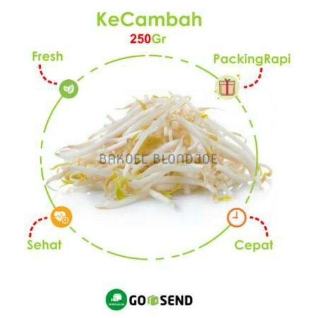 

KECAMBAH / TAUGE / CAMBAH SAYUR 500GRAM MURAH DAN SEGAR / SPROUTS / FRESH VEGETABLES / SAYURAN BEST SELLER