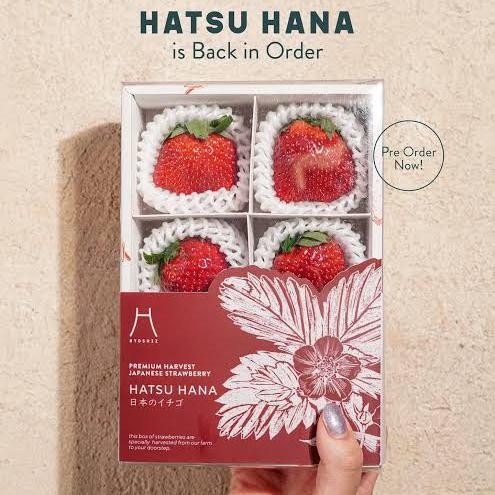 

Strawberry jumbo hatsu hana sweet | buah strawberry bibit jepang momoka pack isi 6s