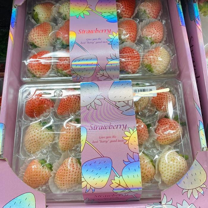 

Buah Strawberry white pink jumbo fresh box super