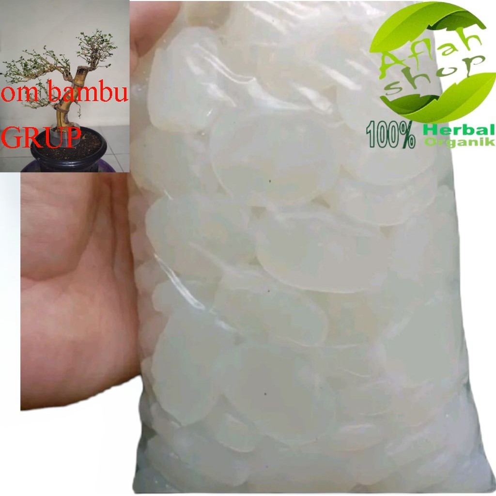 

kolang kaling segar kenyal dan bersih, kolang kaling grade A 1 kg