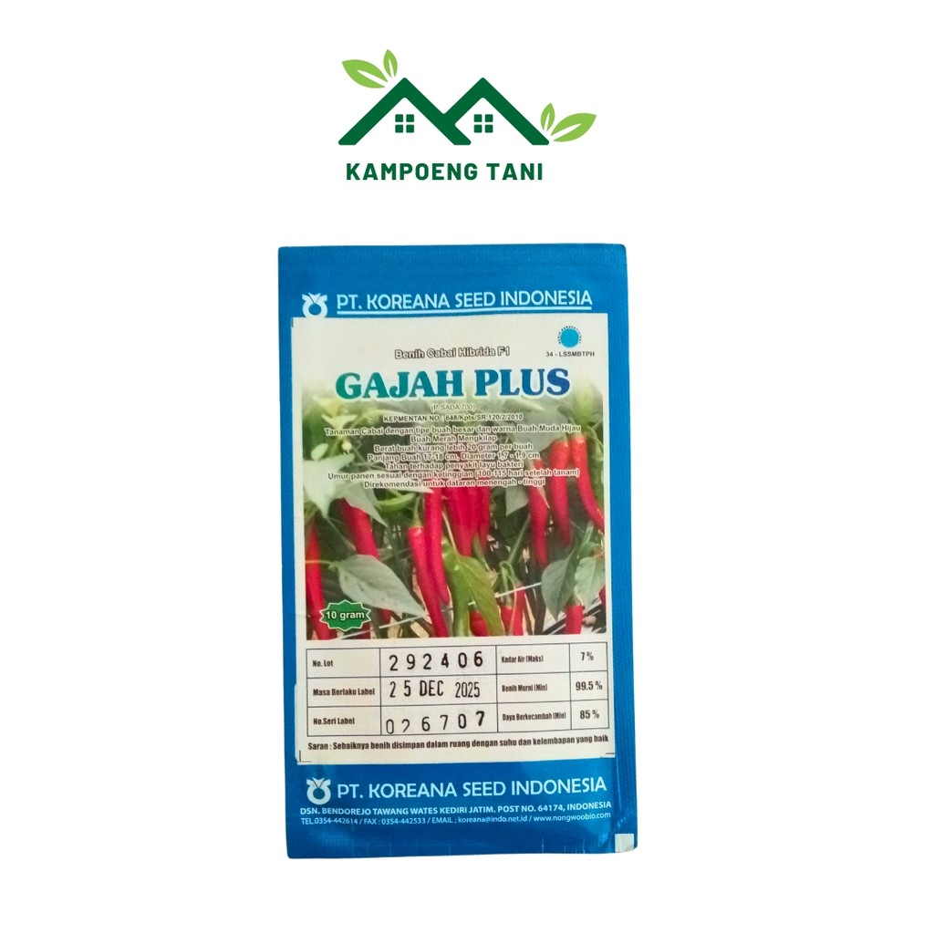 Benih Cabe Gajah Plus F1 10gr – Buah Besar Tahan Layu, Cocok Dataran Tinggi