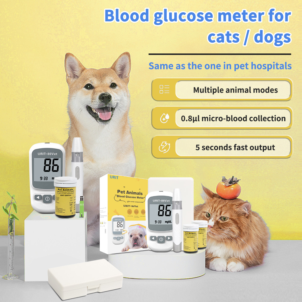 Home Pet Blood Glucose Meter for Dogs and Cats High Precision Painless Blood Glucose Meter Portable 