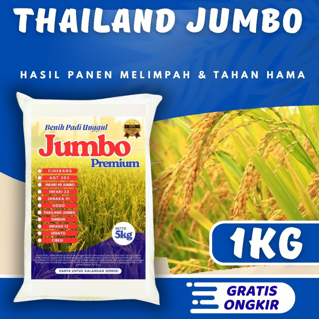Benih padi unggul thailand jumbo original kemasan 1kg Berkualitas / Anti Roboh / Anti Hama - SRI JAY