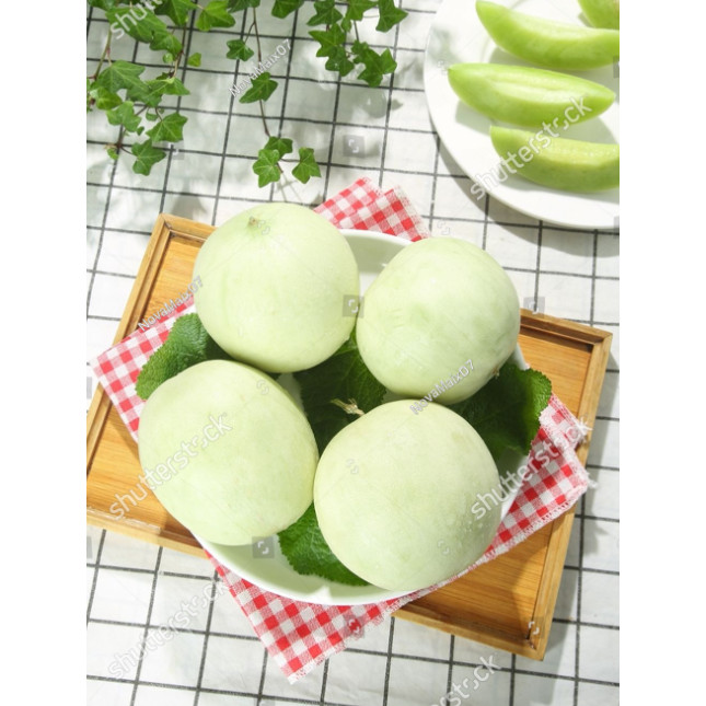 Biji Benih Bibit Bibit Benih Buah Melon Madu Putih
