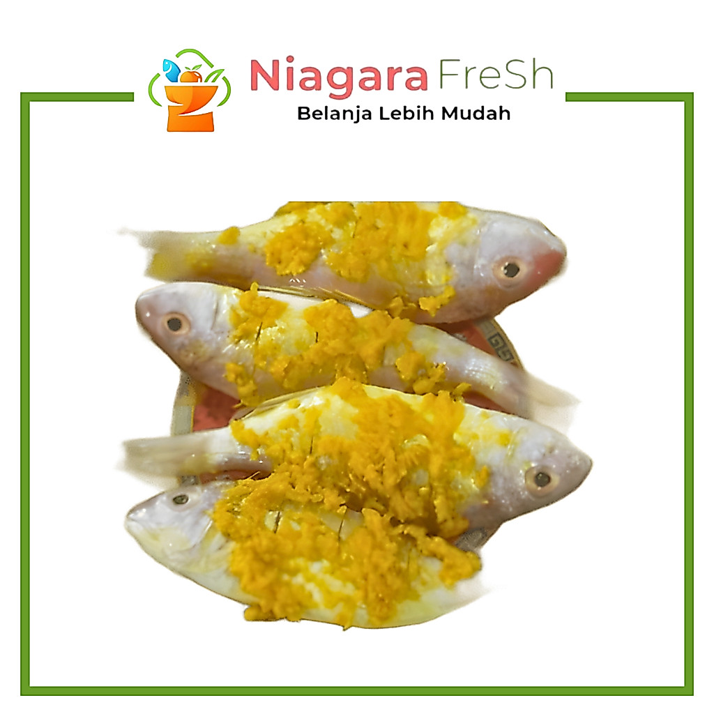 Ikan Kuniran Ungkep - Niagara Fresh