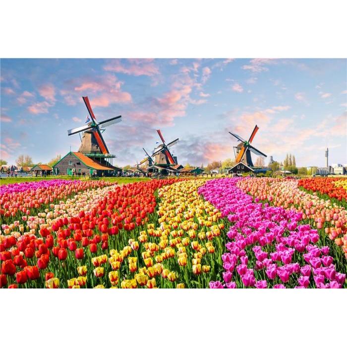 500 PCS CARDBOARD JIGSAW PUZZLE COLLECTION - AMSTERDAM