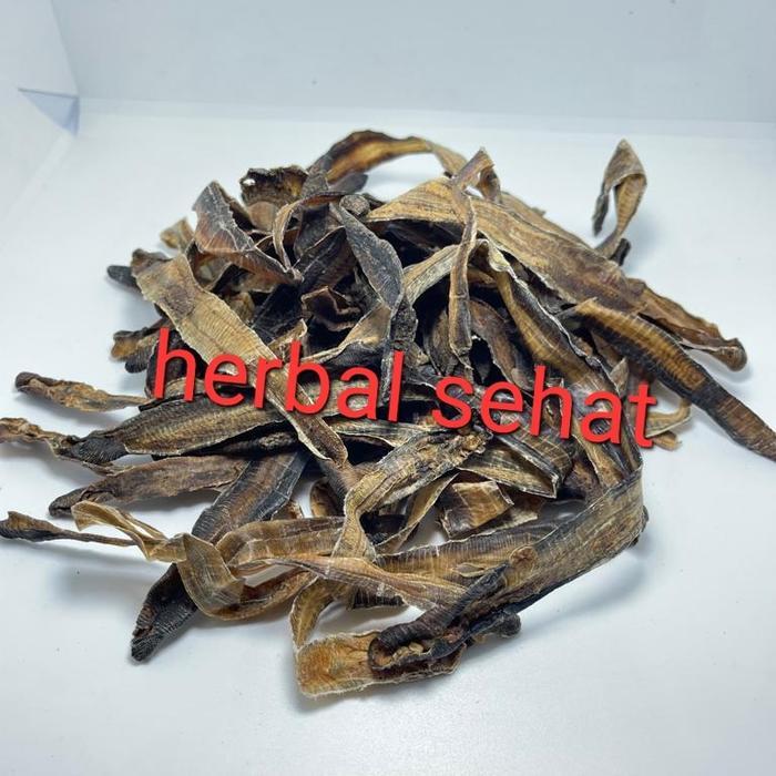 Ready Cacing Tanah Kering Asli Lumbricus Rubellus - Obat Typus Tipes (100g)