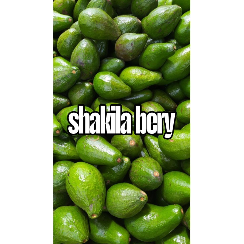 

^ alpukat 1 kg 100% fresh termurah PROMO ^