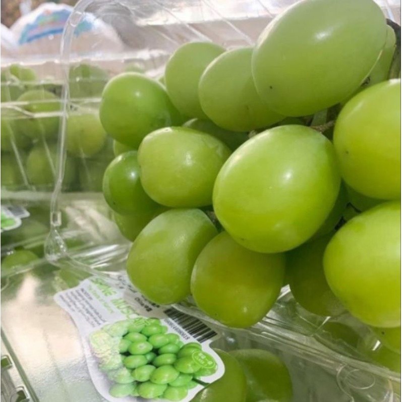 

BUAH ANGGUR MUSCAT SEEDLESS MANIS IMPORT