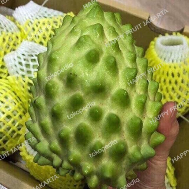 

Buah srikaya super jumbo autralia box 6 kg