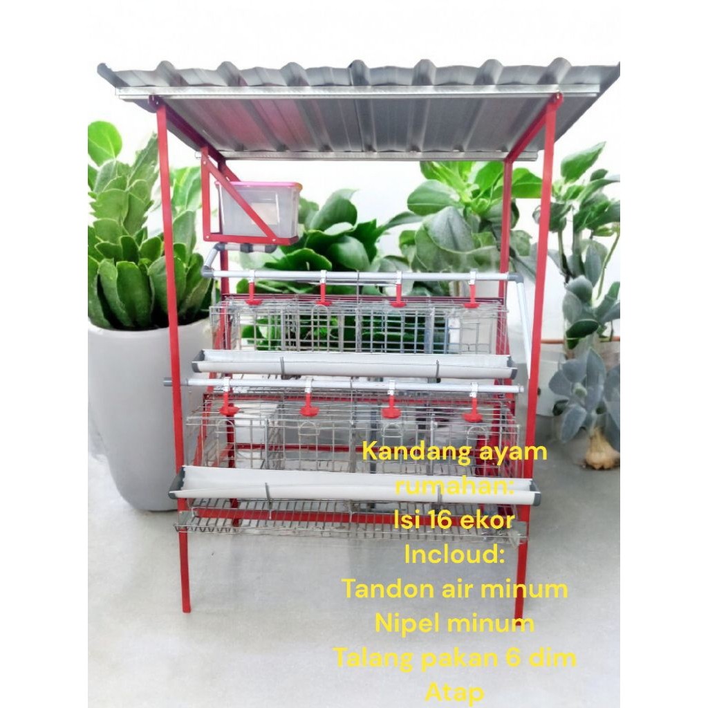 kandang ayam petelur rumahan full set