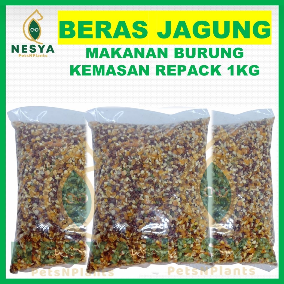 Pakan BERAS JAGUNG Burung Ayam Jagung Campur 1Kg Beras Merah Solo& Gabah Merah Untuk Puter Merpati d