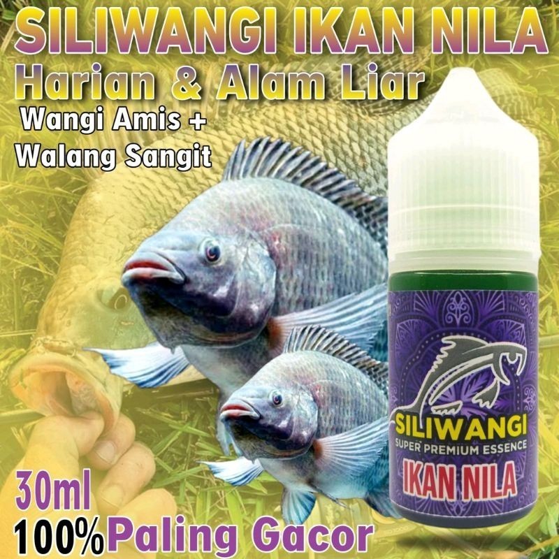 Essen Ikan Nila Paling Gacor Media Umpan Lumut, Essen Ikan Nila Paling Ampuh-45812 - GARUT