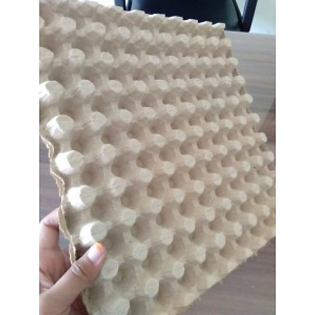 Egg Tray Karton Bekas - Praktis, Ekonomis, 10 Lembar