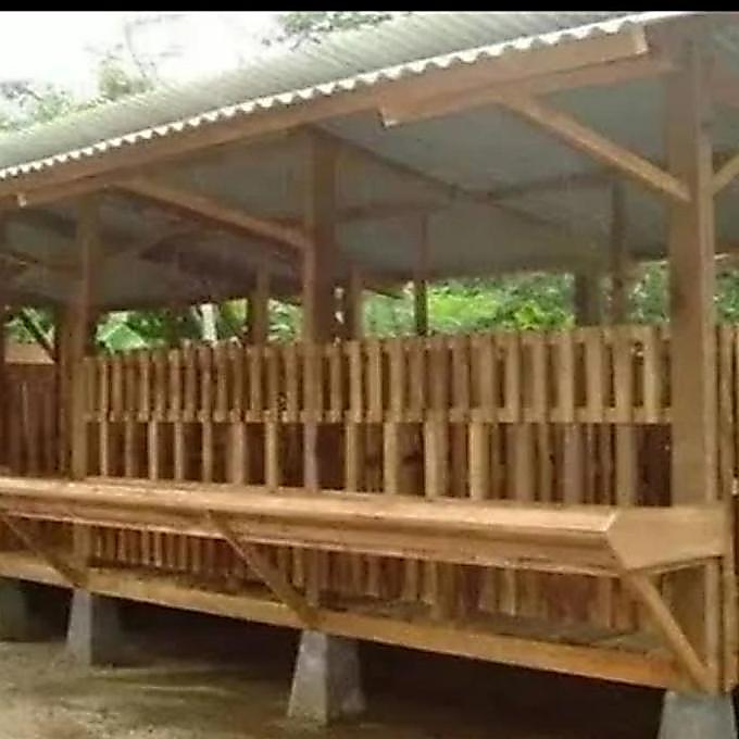 PROMO KANDANG KAMBING 200X100X150 2 SKAT - kap. 5 ekor