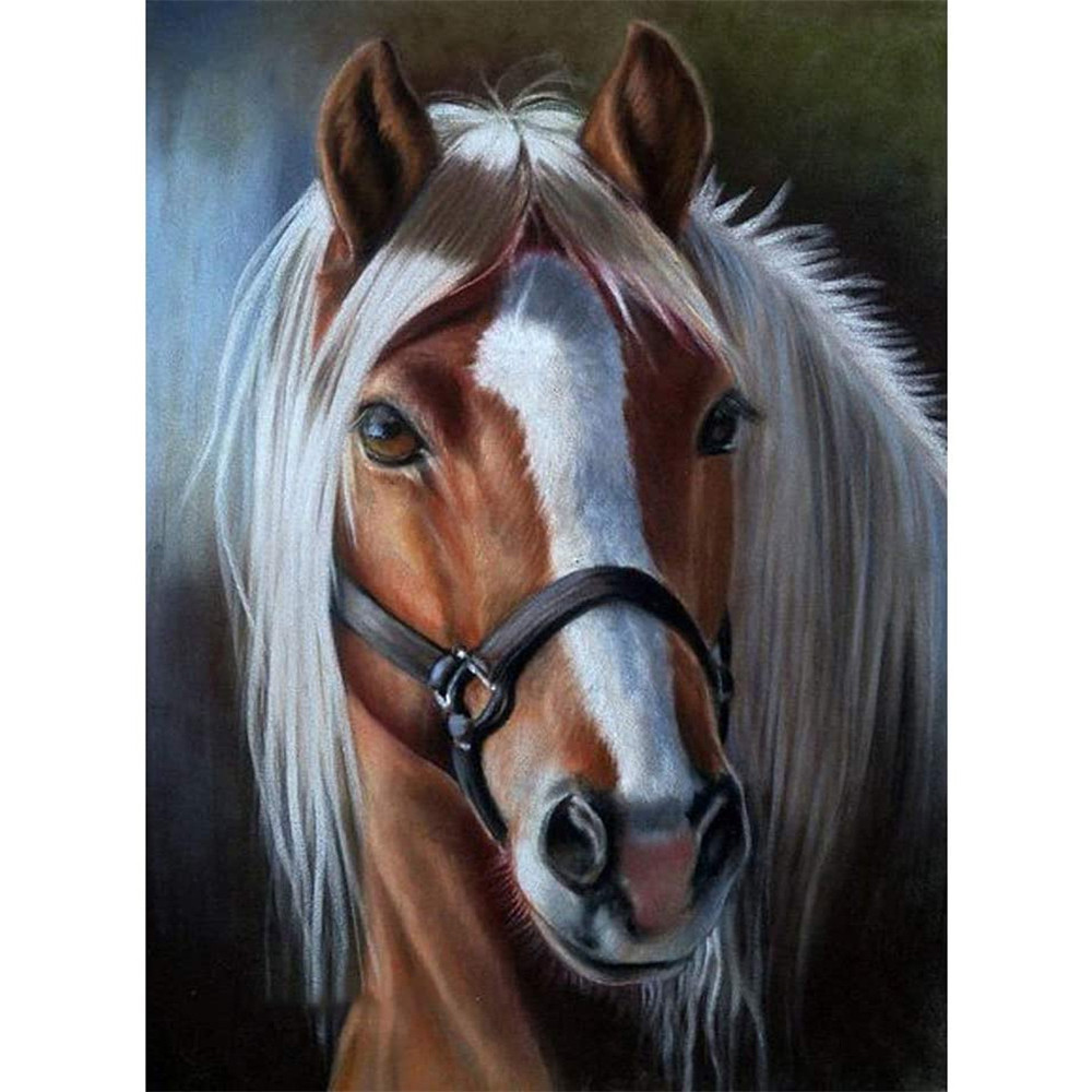 

Animal Horse DIY 11CT Cross Stitch Embroidery Kits Needlework Craft Set Printed Canvas Cotton Thread Home Dropshipping