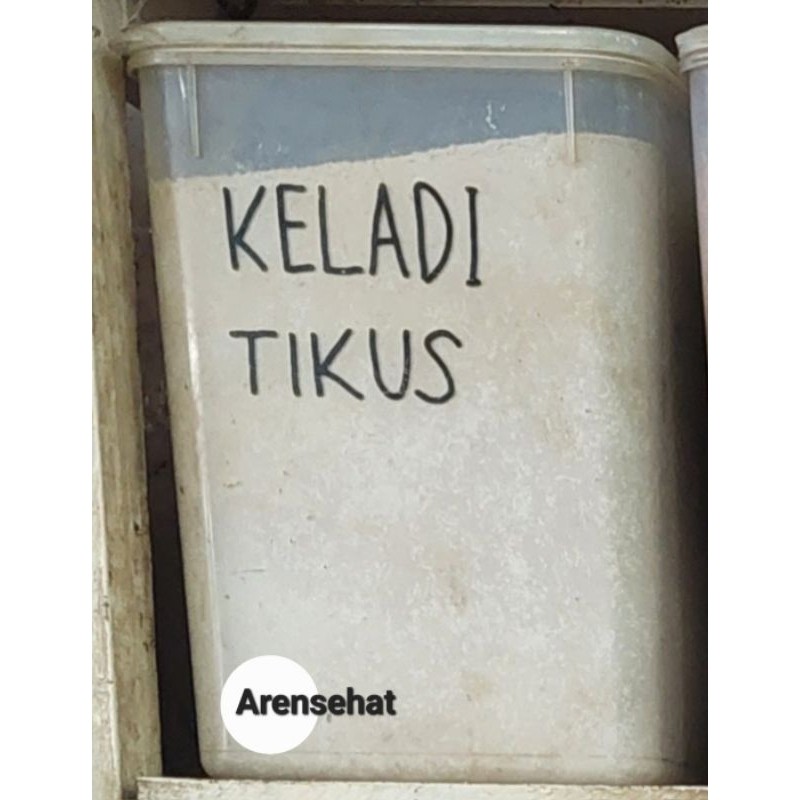 

Keladi Tikus 100gr Premium