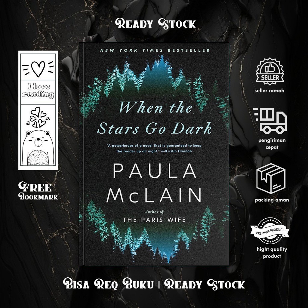 When the Stars Go Dark by Paula McLain
