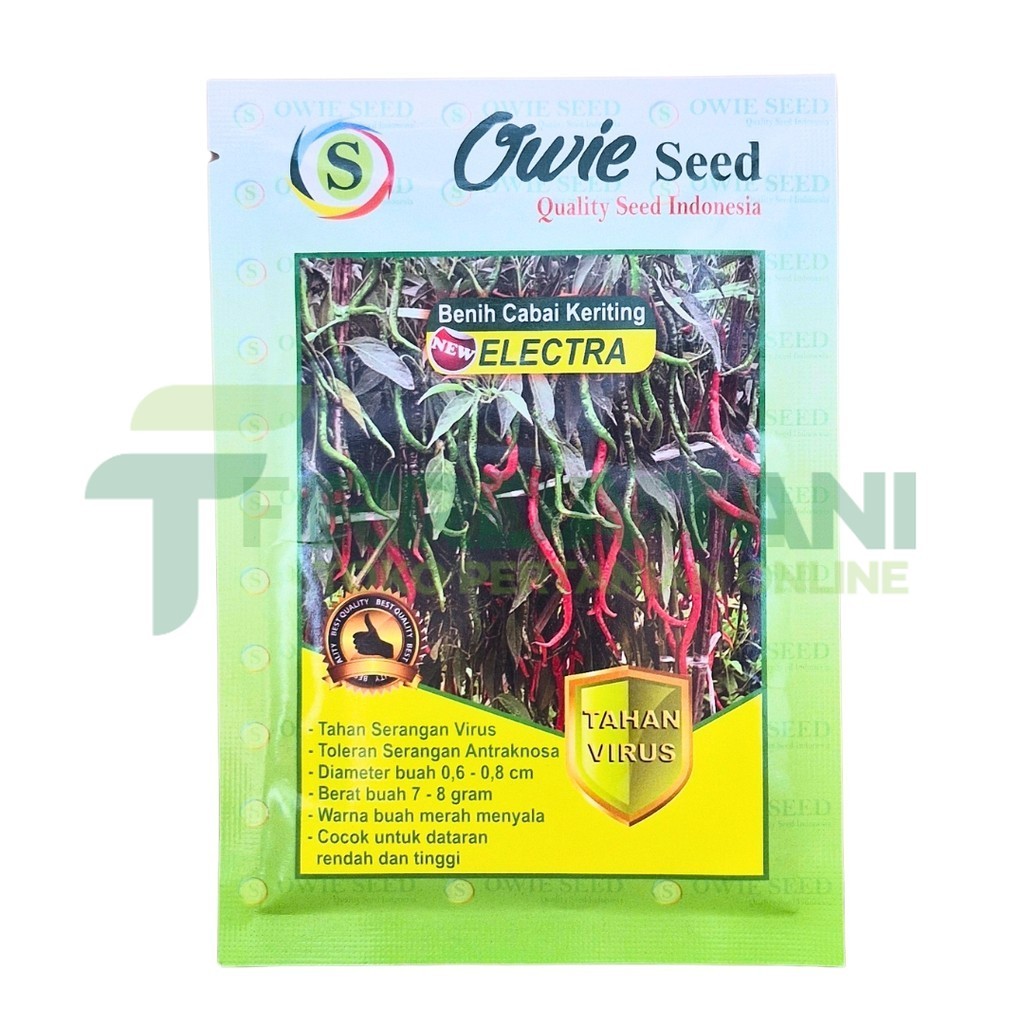 New Cabe Electra Benih Cabe Tahan Virus Original Pabrik Cabe Elektra Tahan Bule kuning