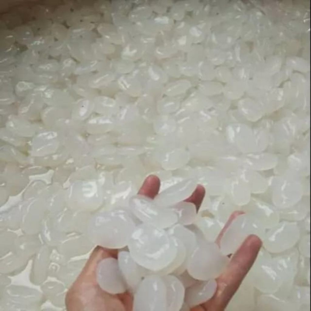 

kolang kaling segar kolang kaling super bahan manisan satu kg bersih