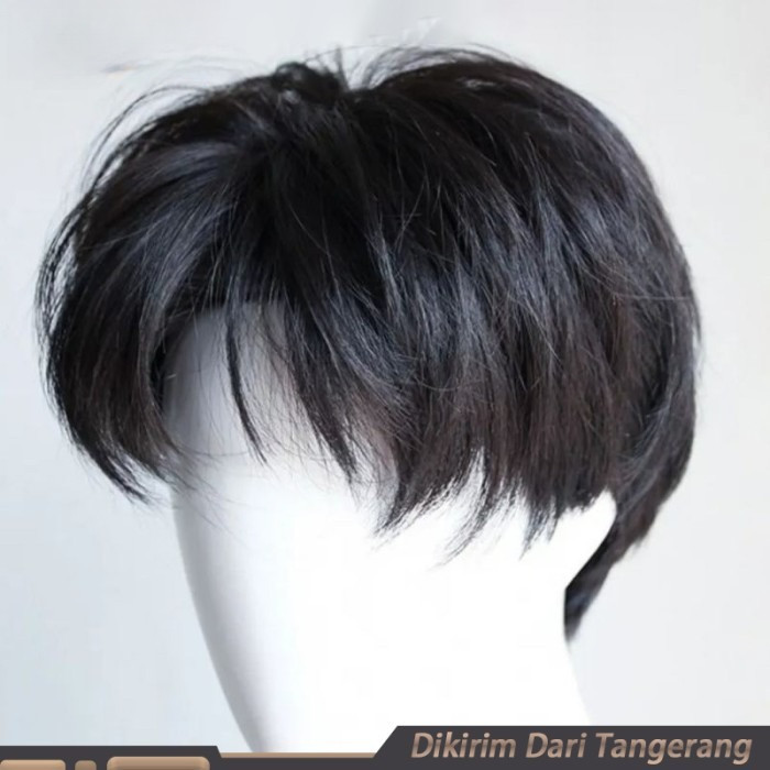 Rambut Wig Pria Pendek | Wig Pendek Pria | Rambut Palsu Cowok Keren