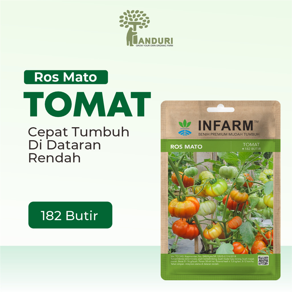 TANDURI - Benih Tomat Mawar Rosmato, Benih Tomat Mawar Rosmato Unggul Bibit Tomat Mawar Super Bibit 