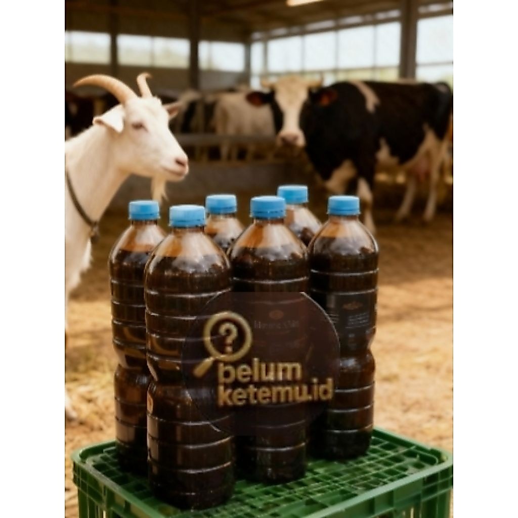 1KG TETES TEBU/MOLASE