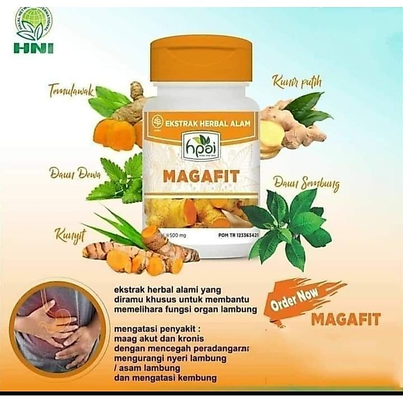 Magafit Obat Herbal Untuk Maag - HNI HPAI