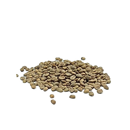 Green Bean Arabica Gayo Fullwash, Green Bean Arabica Gayo 1KG