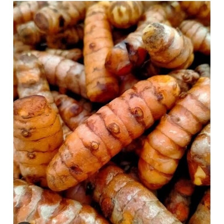 

kunyit segar vareasi ,herbal alami, pres/segar . ( kunyit masak )