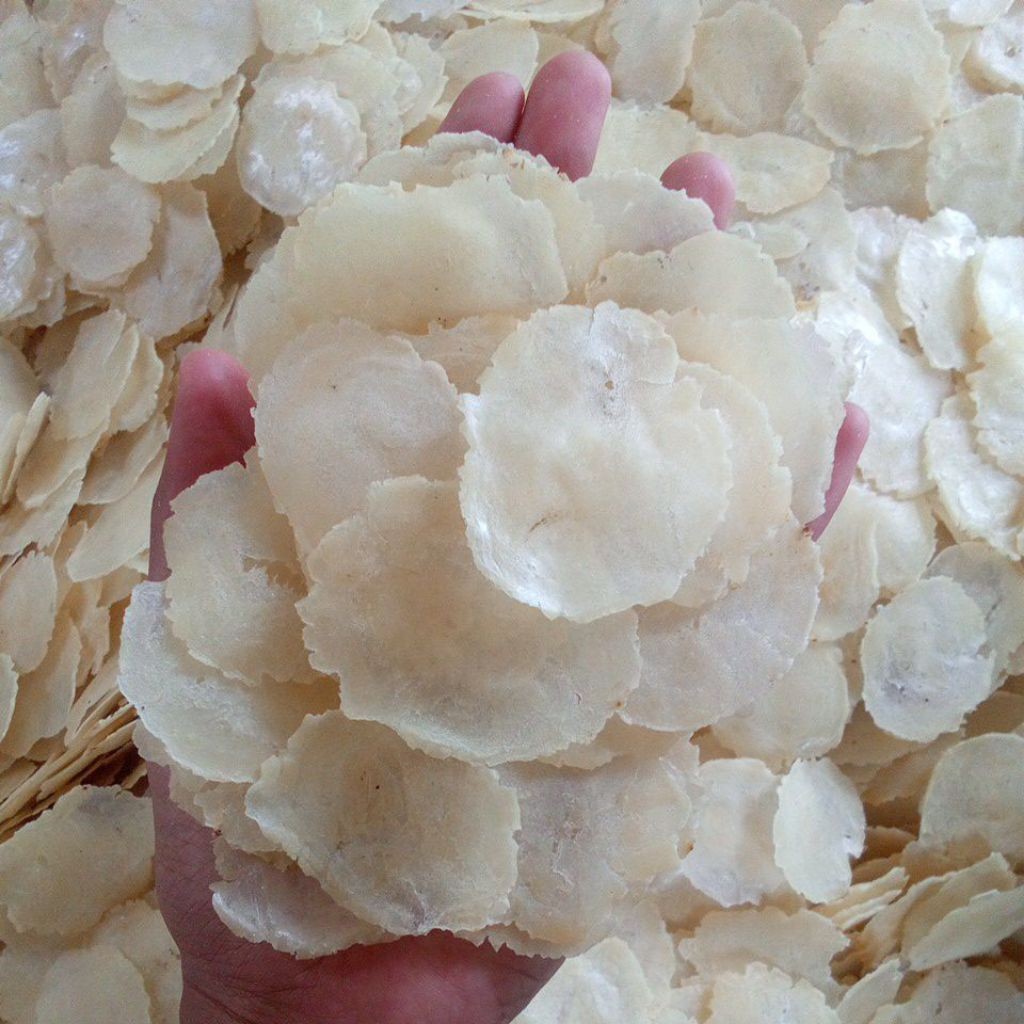 

Emping melinjo mentah/ 1 biji melinjo full kering/Emping melinjo mentah/Emping melinjo tipis kering